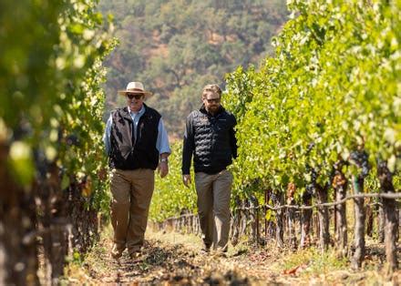 A Napa Winery’s Estate Vineyards Finally Achieve Organic .